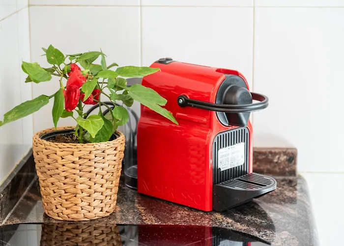 아파트 Medano4you Tropical Terrace *